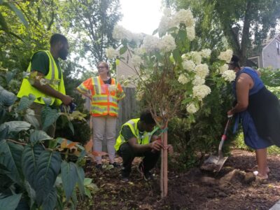 Program participants planting bushes