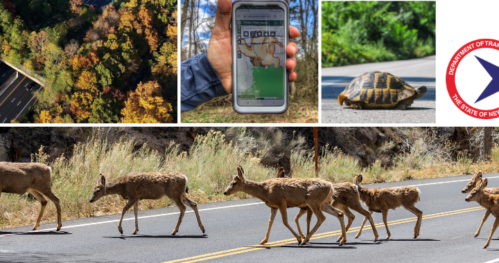 Wildlife Corridors and Crossings in NJ’s Road Network: A Conversation with NJDEP & NJDOT