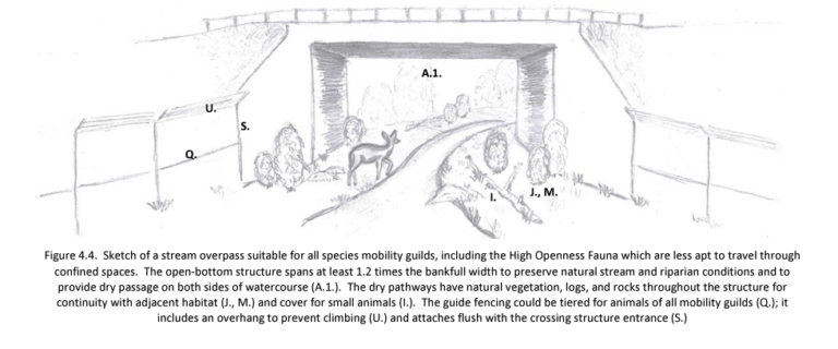 Wildlife Corridors and Crossings in NJ's Road Network: A Conversation ...